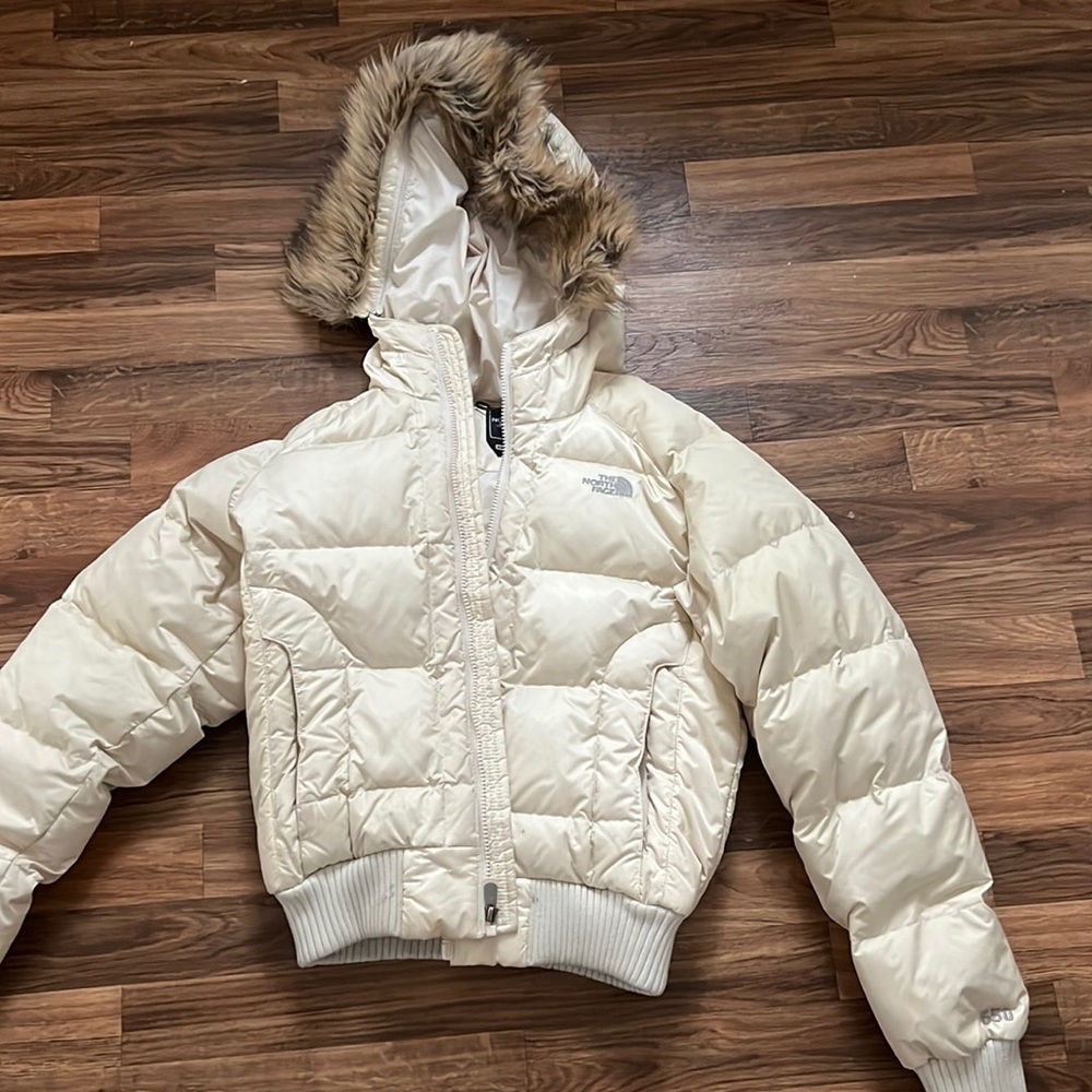 NorthFace cropped winter down coat
